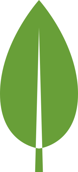 MongoDB